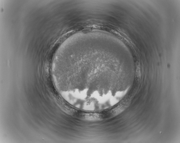 X0000085270363200704092146