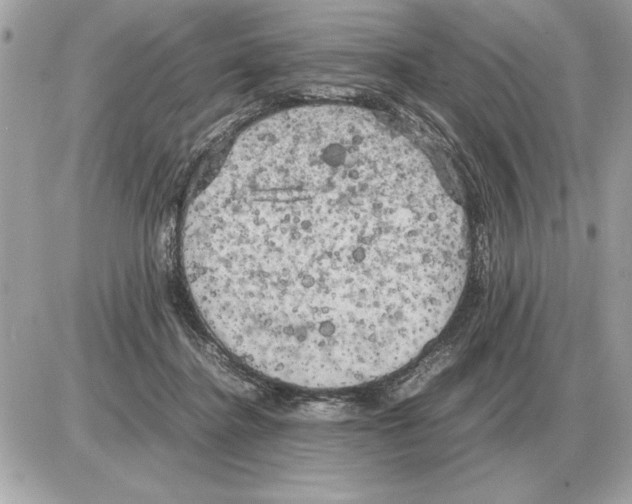 X0000085270364200704092146