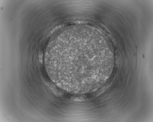 X0000085270368200704092146