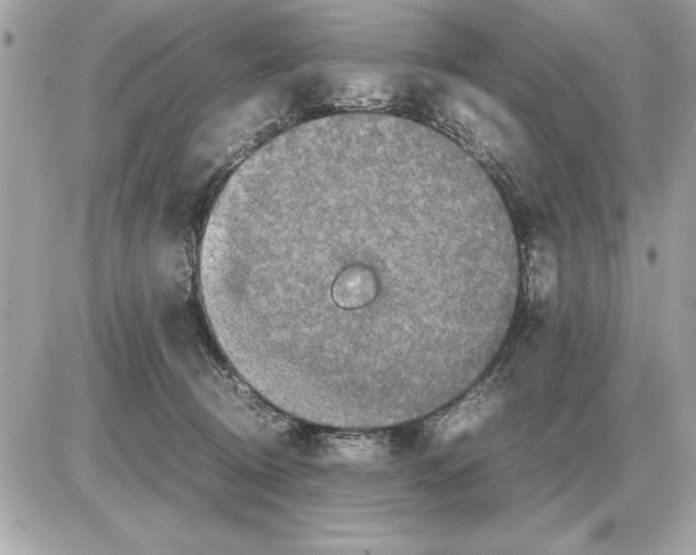 X0000085270370200704092146