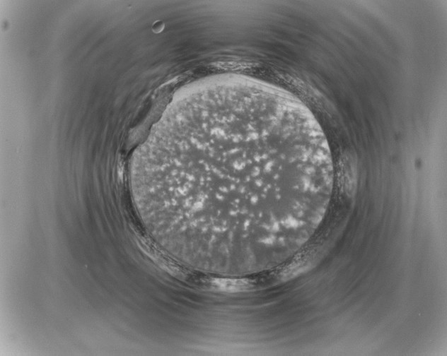 X0000085270371200704092146