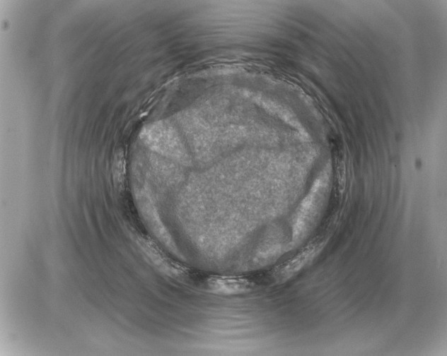 X0000085270372200704092146