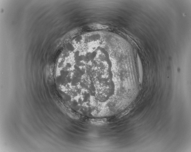 X0000085270373200704092146