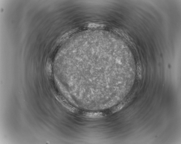 X0000085270375200704092146