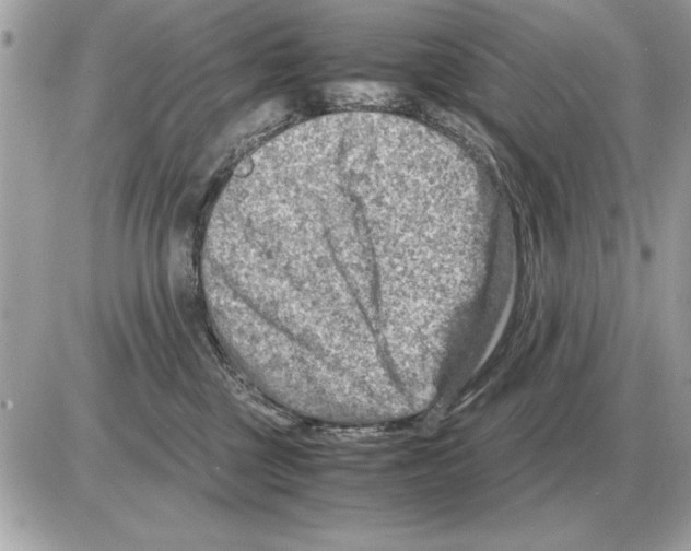 X0000085270377200704092146