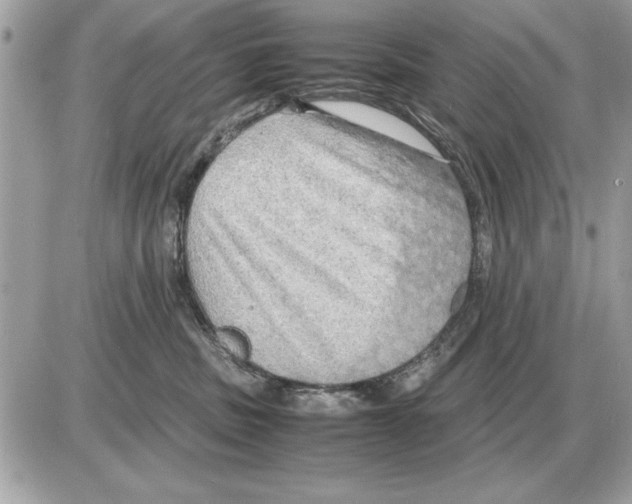 X0000085270379200704092146