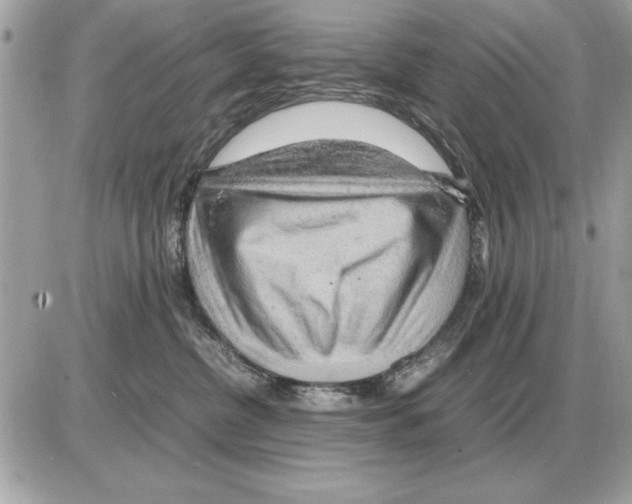 X0000085270380200704092146