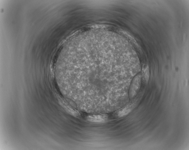 X0000085270381200704092146