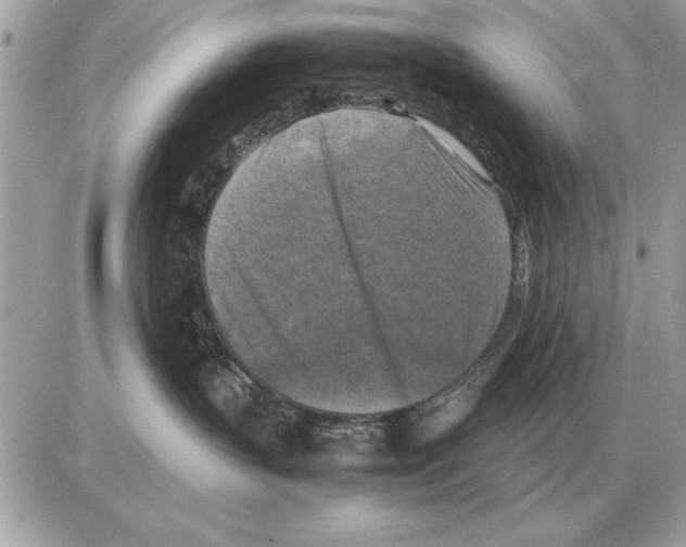 X0000085270383200704092146