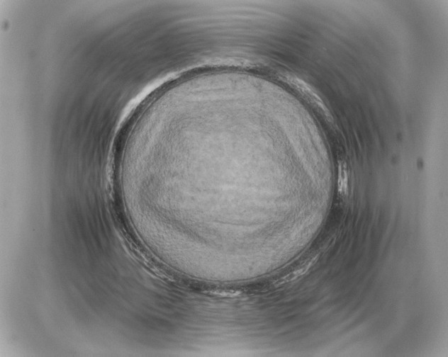 X0000085270388200704092145