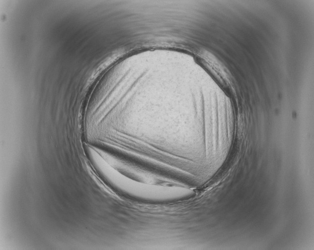 X0000085270389200704092145