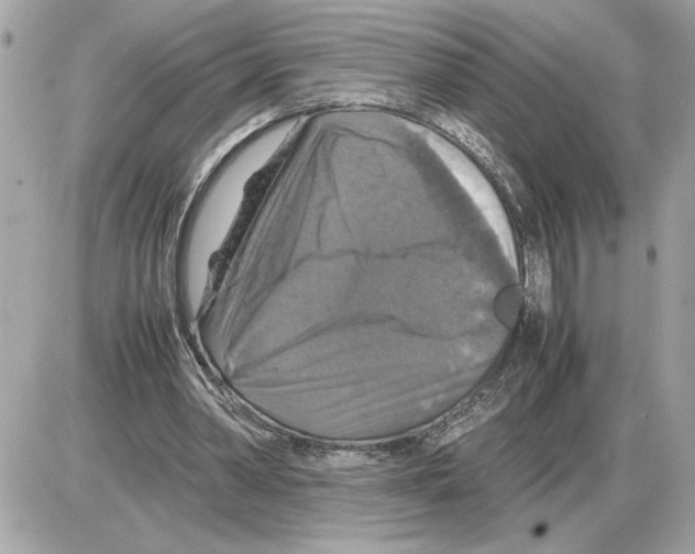 X0000085270390200704092145