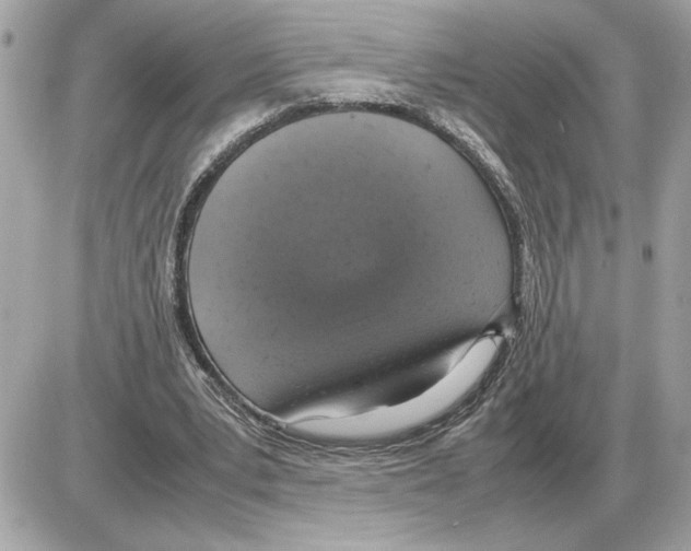 X0000085270391200704092145