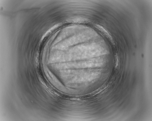 X0000085270392200704092145