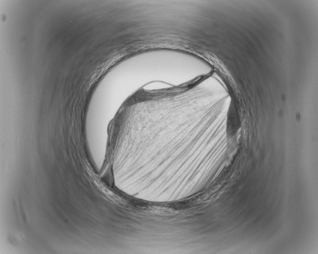 X0000085270393200704092145