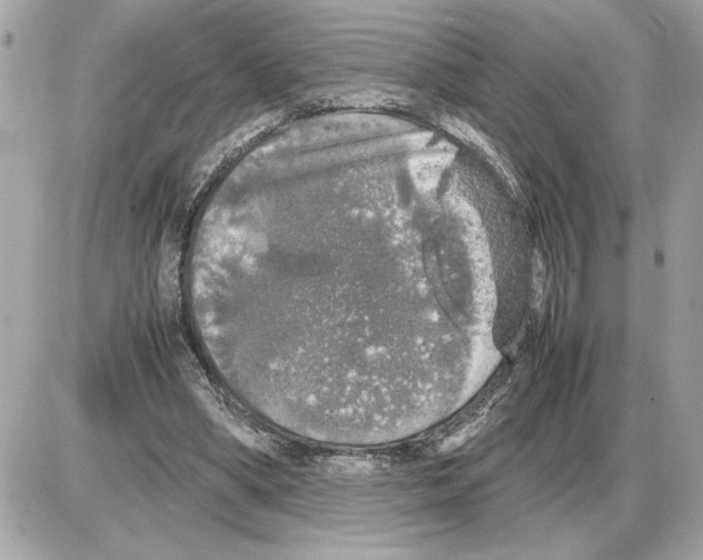 X0000085270394200704092145