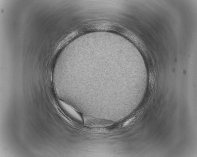 X0000085270397200704092145