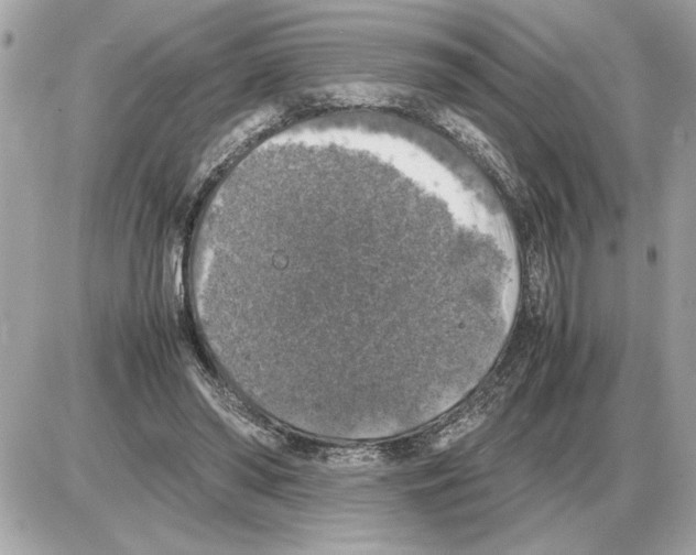 X0000085270398200704092145