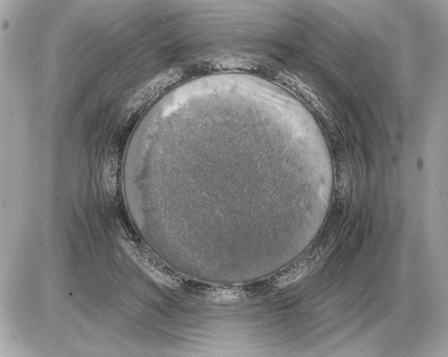 X0000085270402200704092145