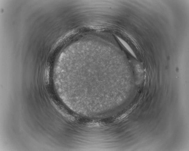 X0000085270404200704092145