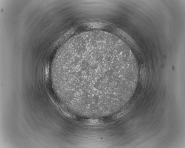 X0000085270406200704092145