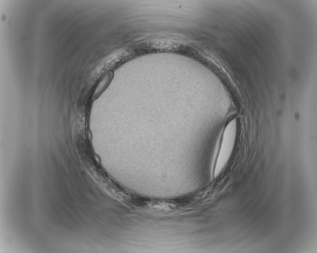 X0000085270407200704092145