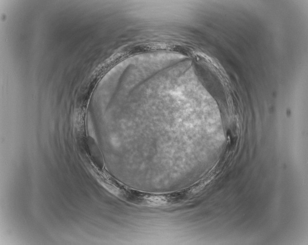 X0000085270409200704092145