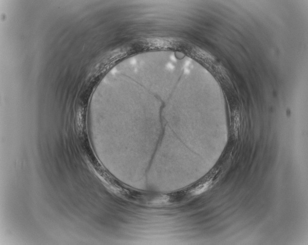 X0000085270410200704092145