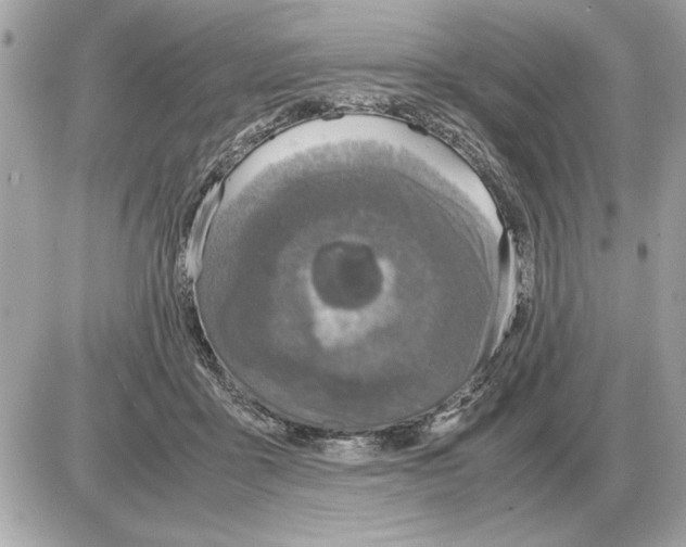 X0000085270411200704092145