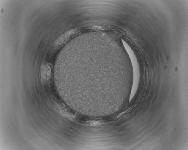 X0000085270412200704092145