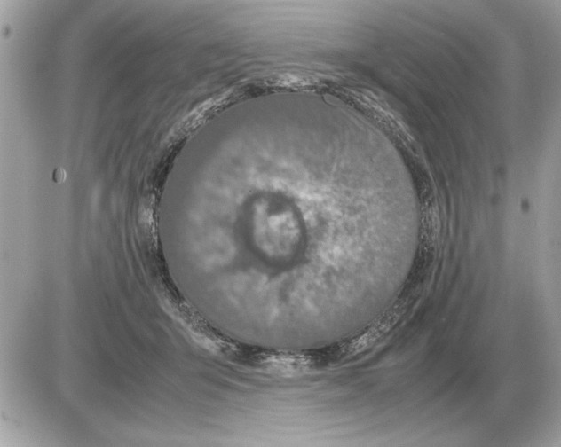 X0000085270415200704092145