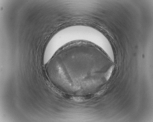 X0000085270417200704092145