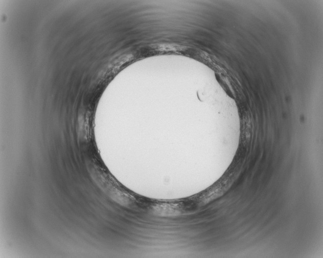 X0000085270422200704092145