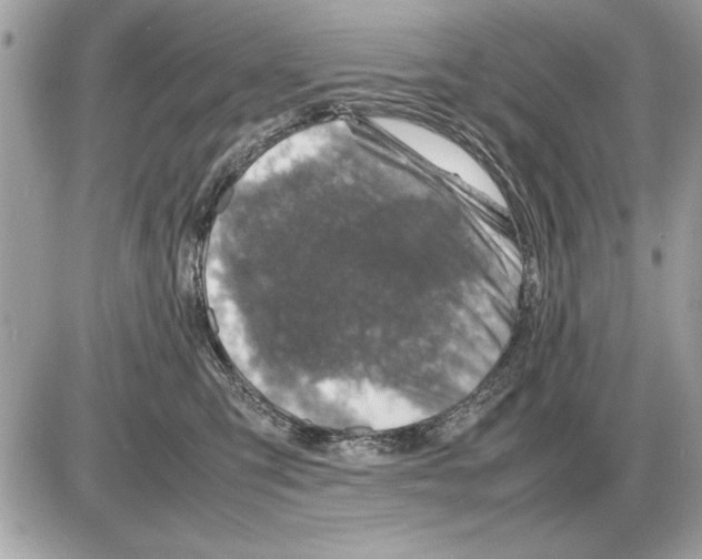 X0000085270423200704092145