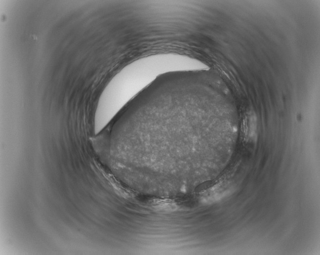 X0000085270424200704092145