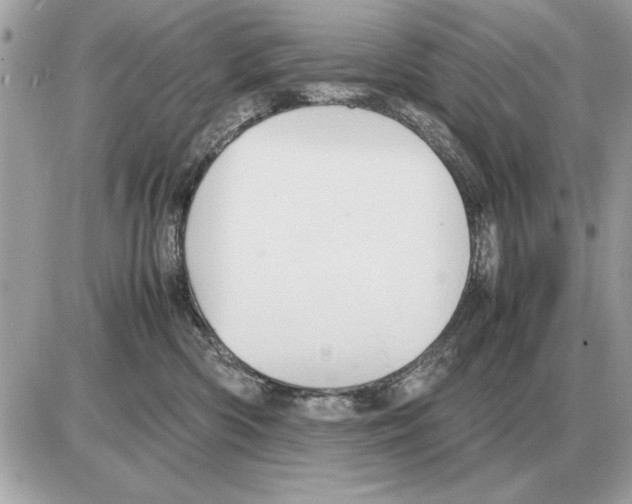 X0000085270426200704092145