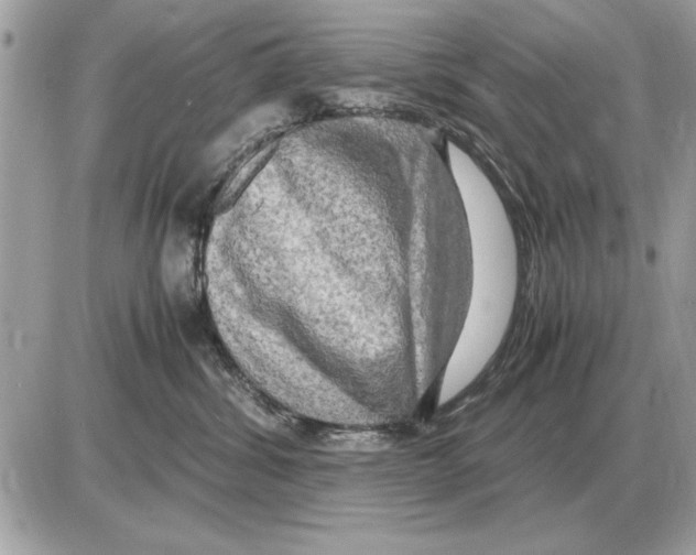 X0000085270428200704092145