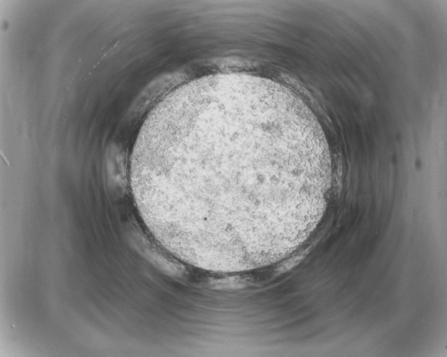 X0000085270430200704092145