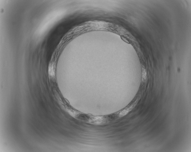 X0000085270431200704092145