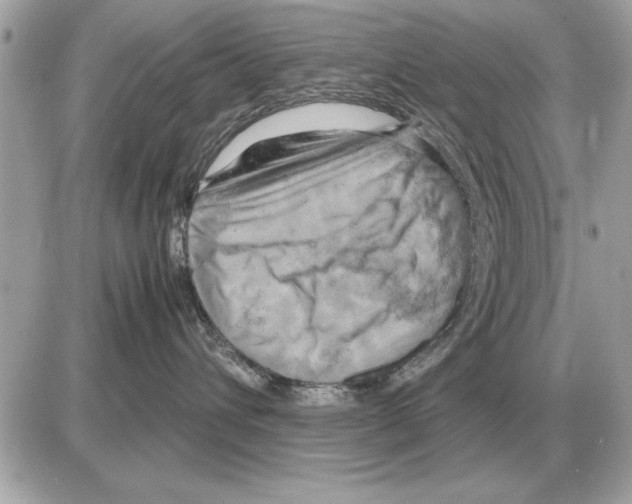 X0000085270432200704092145