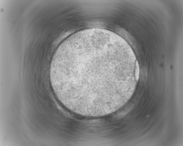 X0000085270433200704092144