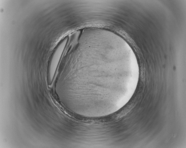 X0000085270434200704092144