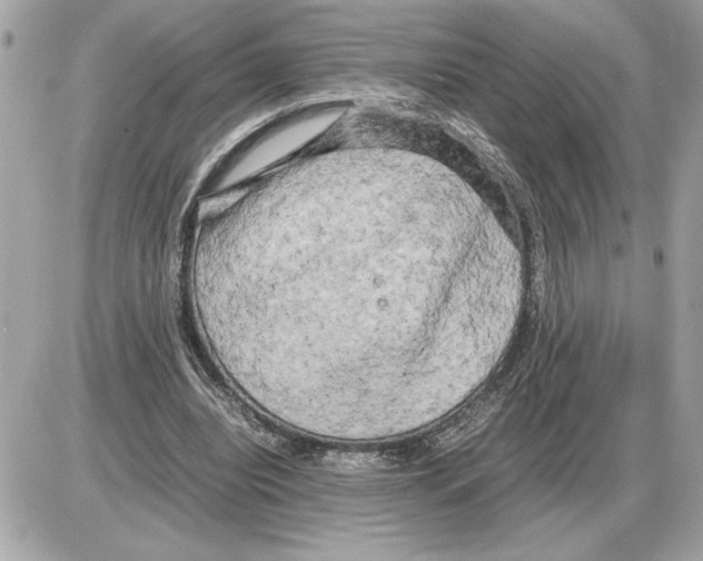 X0000085270440200704092144