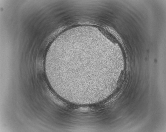 X0000085270441200704092144