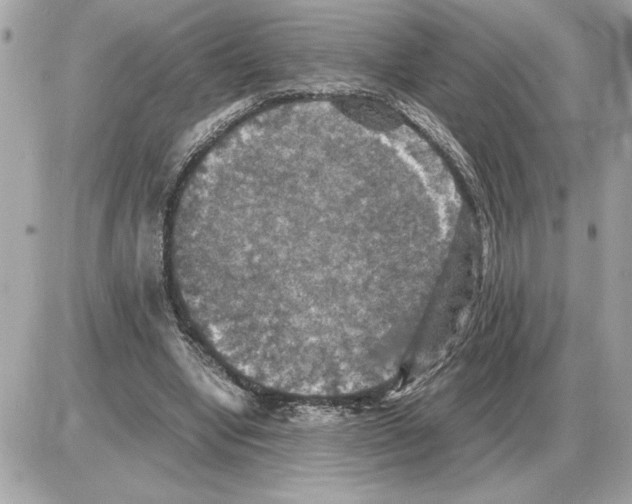 X0000085270442200704092144