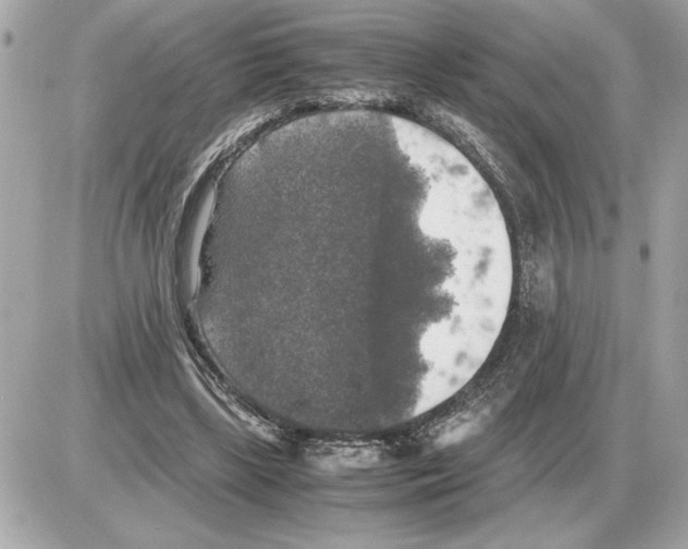 X0000085270443200704092144