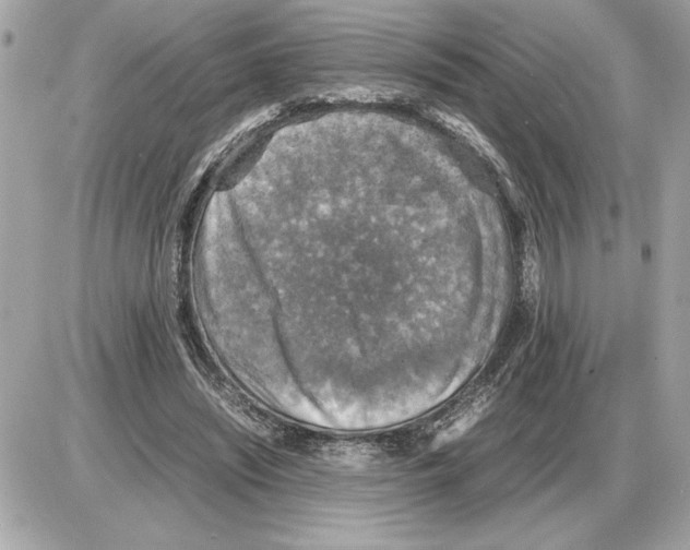 X0000085270444200704092144