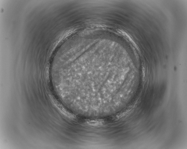 X0000085270447200704092144