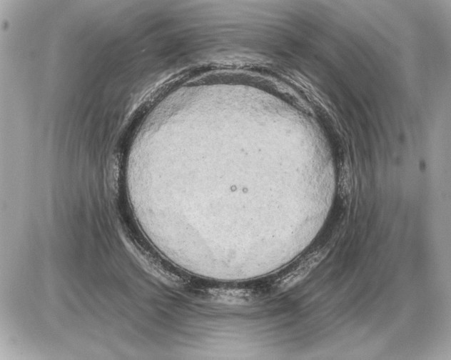 X0000085270448200704092144