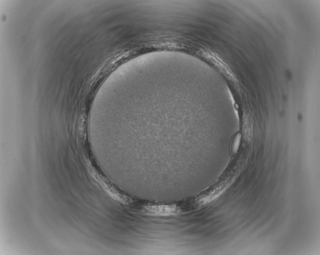 X0000085270449200704092144